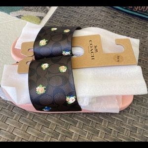 coach slides . size 10. out of stock, bought for 120. never worn